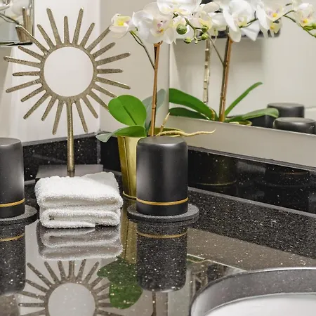 Plaza Premium 4* 达姆施塔特